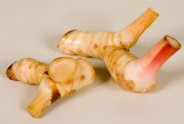 вред имбиря вред имбиря