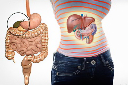 застои желчи застои желчи