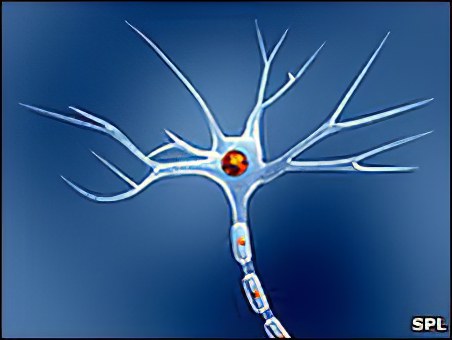 причины заболеваний нервной системы причины заболеваний нервной системы