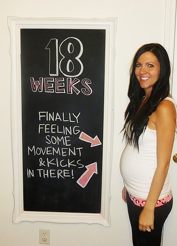 живот 18 недель живот 18 недель