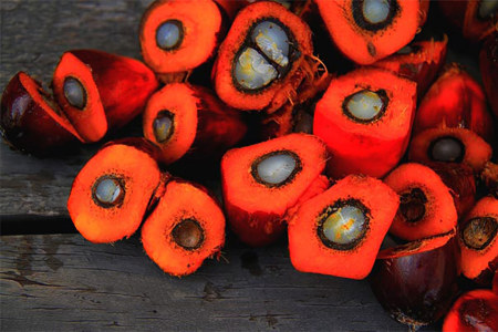 10 мифов о пальмовом масле 10 мифов о пальмовом масле