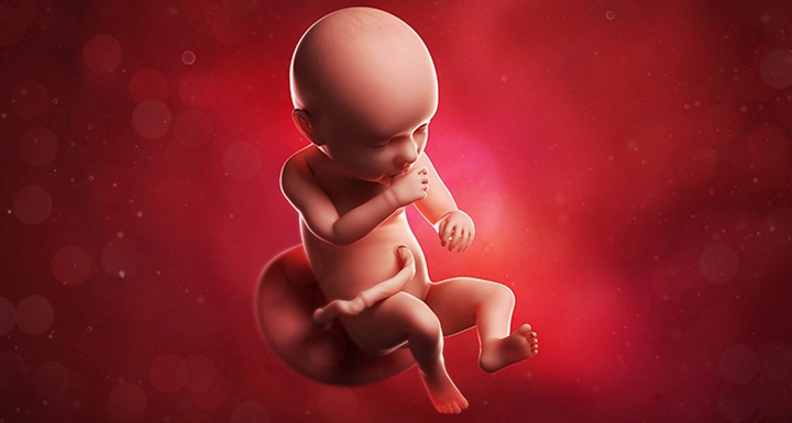 ребенок на 39 неделе беременности ребенок на 39 неделе беременности