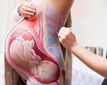 расположение ребенка в животе расположение ребенка в животе