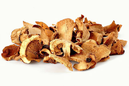 4 лечебных свойства дождевиков 4 лечебных свойства дождевиков