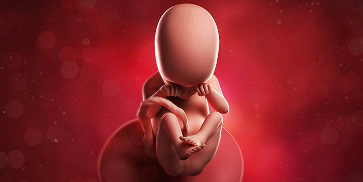 ребенок на 18 неделе беременности ребенок на 18 неделе беременности