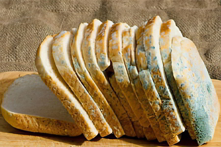 Отравление плесенью Отравление плесенью