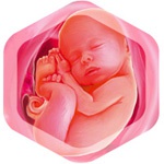 39 неделя беременности 39 неделя беременности