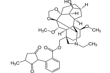 Элатин Элатин