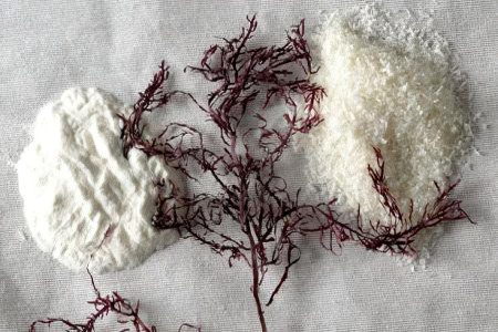 Виды агар-агара Виды агар-агара