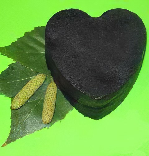 березовый деготь березовый деготь