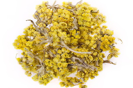 Бессмертник Бессмертник