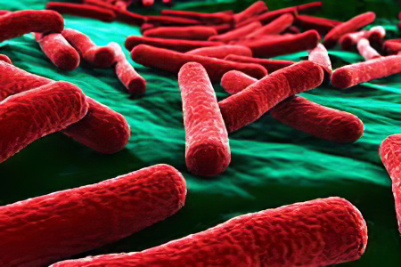 брюшной тиф брюшной тиф