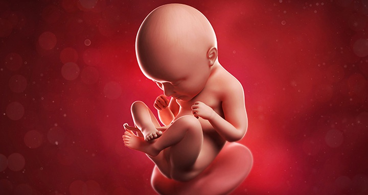 ребенок на 35 неделе беременности ребенок на 35 неделе беременности