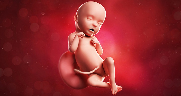 ребенок на 31 неделе беременности ребенок на 31 неделе беременности