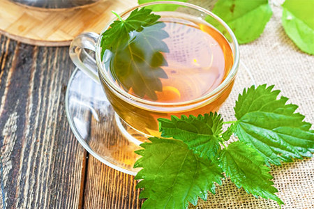 Чай с крапивой Чай с крапивой