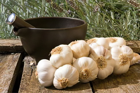 Чеснок Чеснок