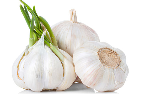 Чеснок Чеснок