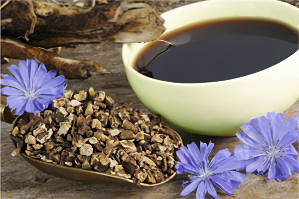 Цикорий для похудения Цикорий для похудения