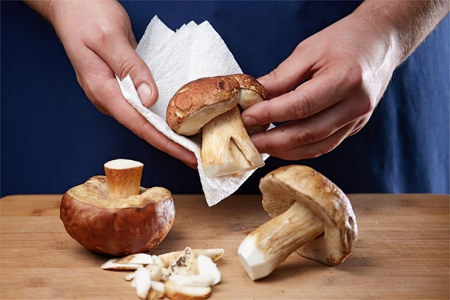 Чистка и обработка грибов Чистка и обработка грибов