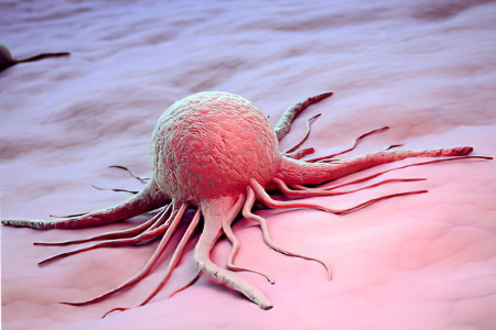 что такое рак что такое рак