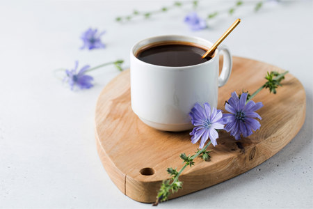 Полезные свойства цикория Полезные свойства цикория