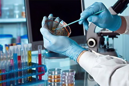 Диагностика пищевого отравления Диагностика пищевого отравления