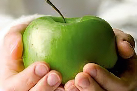 Диета Диета