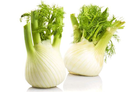 Фенхель Фенхель