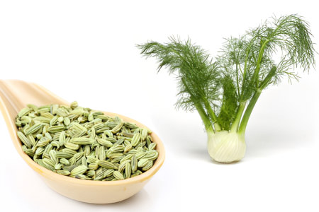 Фенхель Фенхель