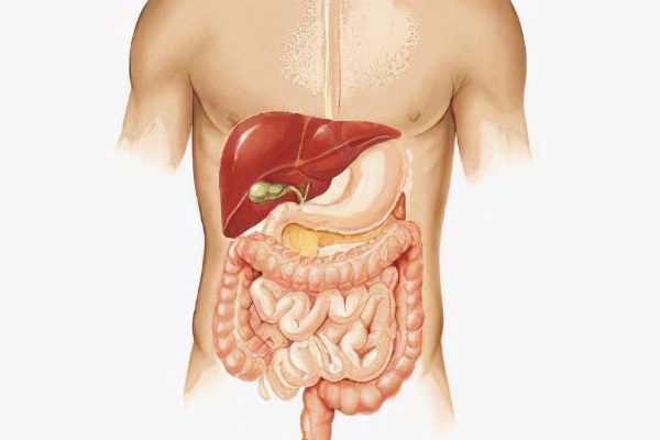 Где паразитировуют Где паразитировуют