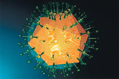 герпес герпес