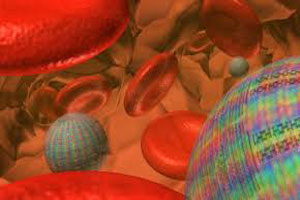 гиперпротеинемия гиперпротеинемия