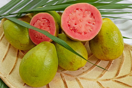 Употребление гуавы оздоравливает кожу Употребление гуавы оздоравливает кожу