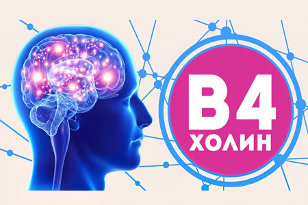 Для чего нам нужен холин Для чего нам нужен холин