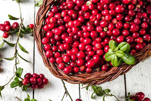 Хранение клюквы Хранение клюквы