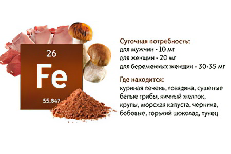 Железо и его роль Железо и его роль