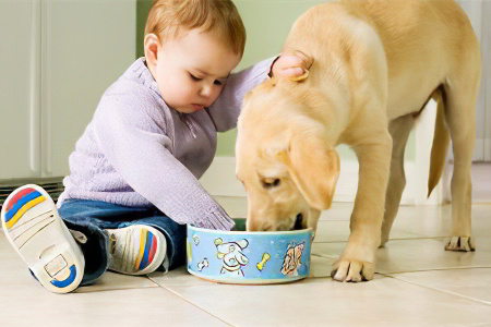 Как происходит заражение Как происходит заражение