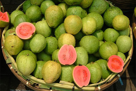 >Как выбрать и как хранить >Как выбрать и как хранить