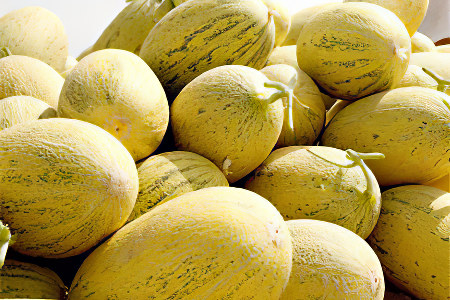 Какую дыню выбрать Какую дыню выбрать