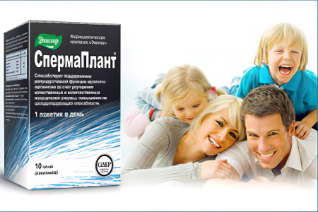 «Пища» для сперматозоидов «Пища» для сперматозоидов