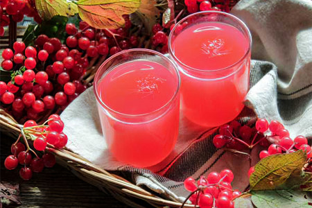 Кисель из калины Кисель из калины