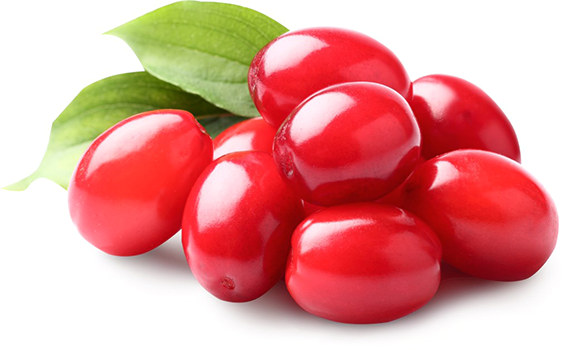 Ягода кизил Ягода кизил