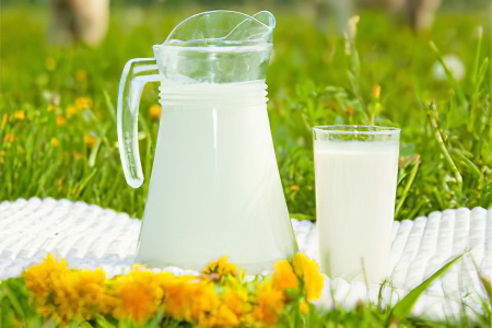 Коровье и козье молоко детям Коровье и козье молоко детям