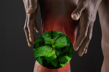 При заболеваниях опорно-двигательного аппарата При заболеваниях опорно-двигательного аппарата