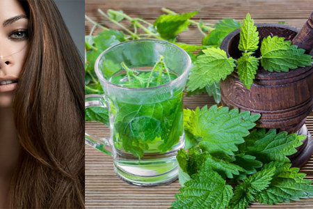 Крапива для волос Крапива для волос