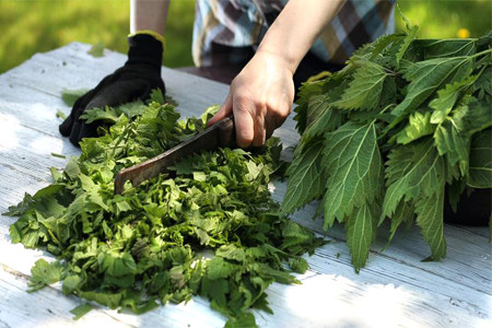 Для восстановления сил организма Для восстановления сил организма