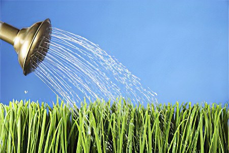 Кремневая вода Кремневая вода