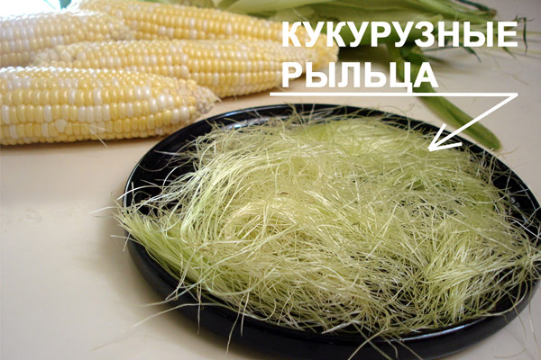 Кукурузные рыльца Кукурузные рыльца