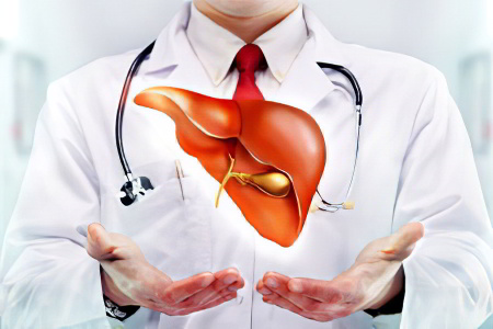 Лечение болезней печени Лечение болезней печени