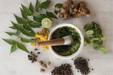 Лекарственные травы Лекарственные травы